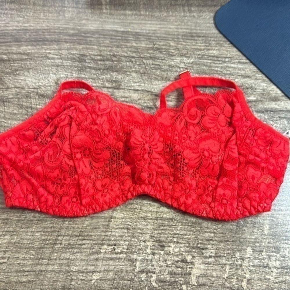 We are HAH Hook Up Bra Blood Orange Size C 30-38